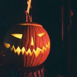 Meet your Posher, Orrin